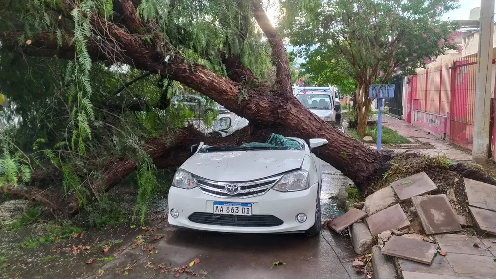 temporal-2-de-diciembre-2023-c