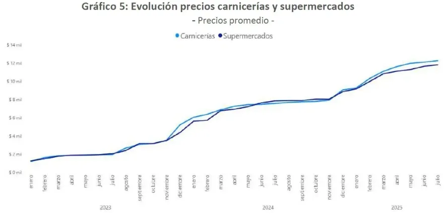 Captura de pantalla 2025-08-12 102528