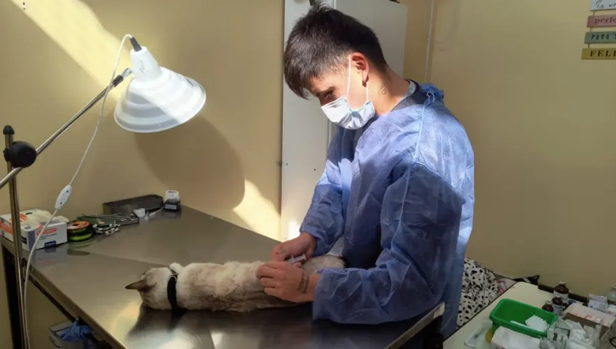 Captura de pantalla 2024-12-12 104205