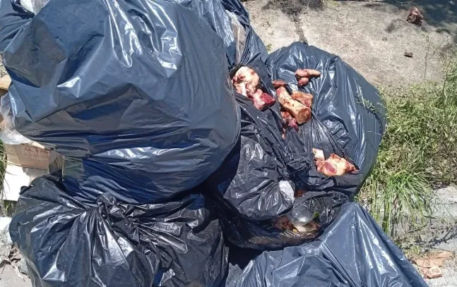 Captura de pantalla 2026-01-26 102722