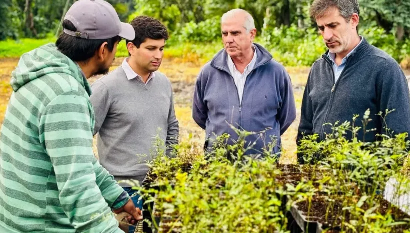 Captura de pantalla 2026-01-28 105112