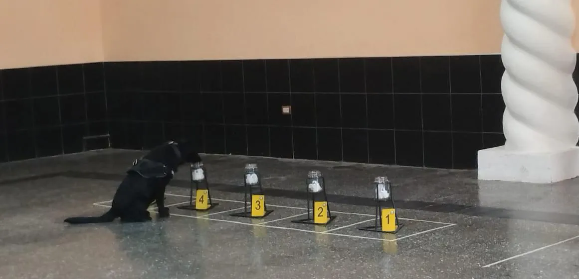 WhatsApp-Image-2024-11-22-at-2.04.48-PM-2