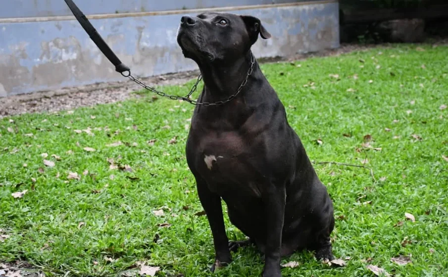 Captura de pantalla 2026-04-01 100708