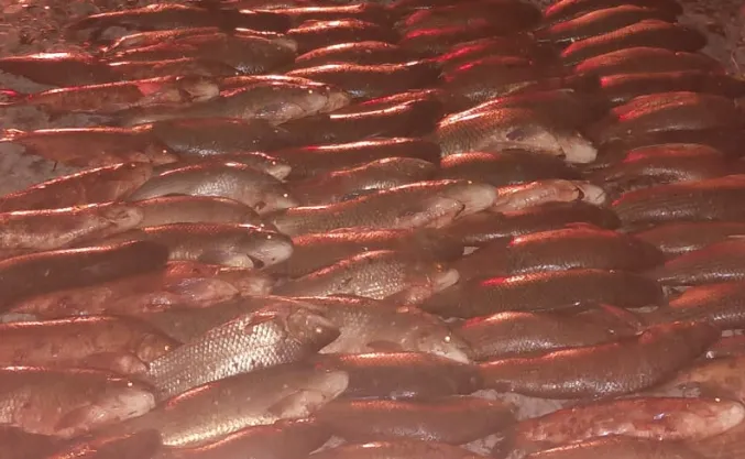 Captura de pantalla 2025-01-06 130605