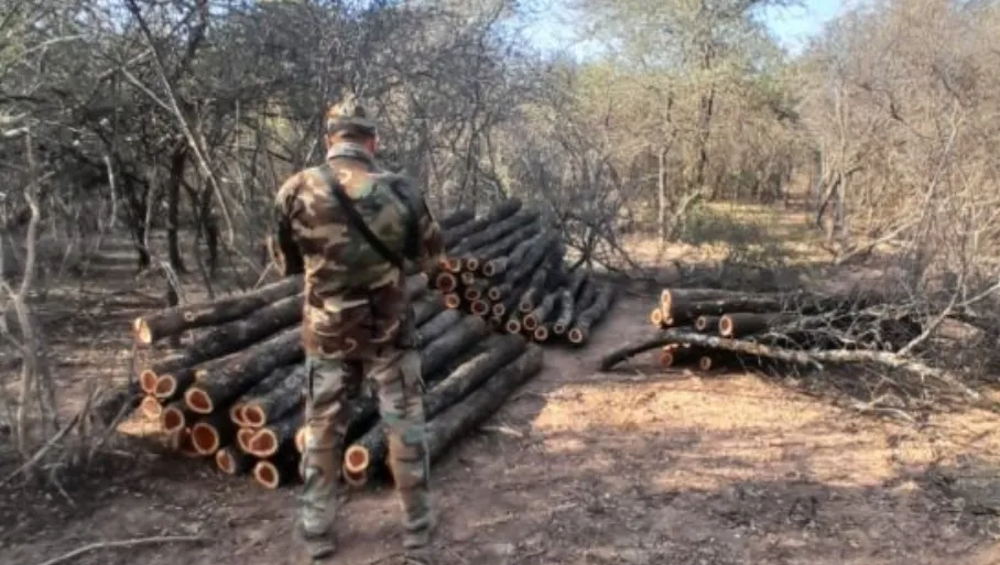 Captura de pantalla 2025-08-21 121339