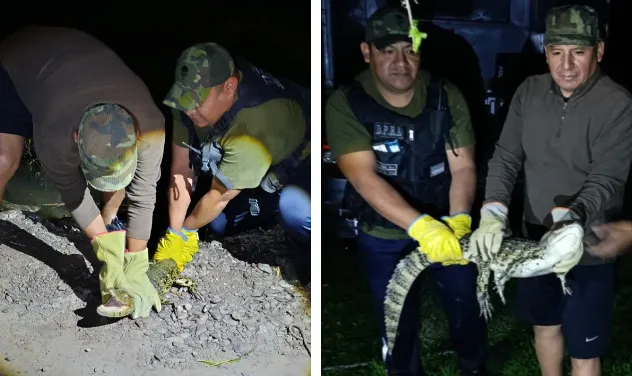 Captura de pantalla 2026-01-09 095431