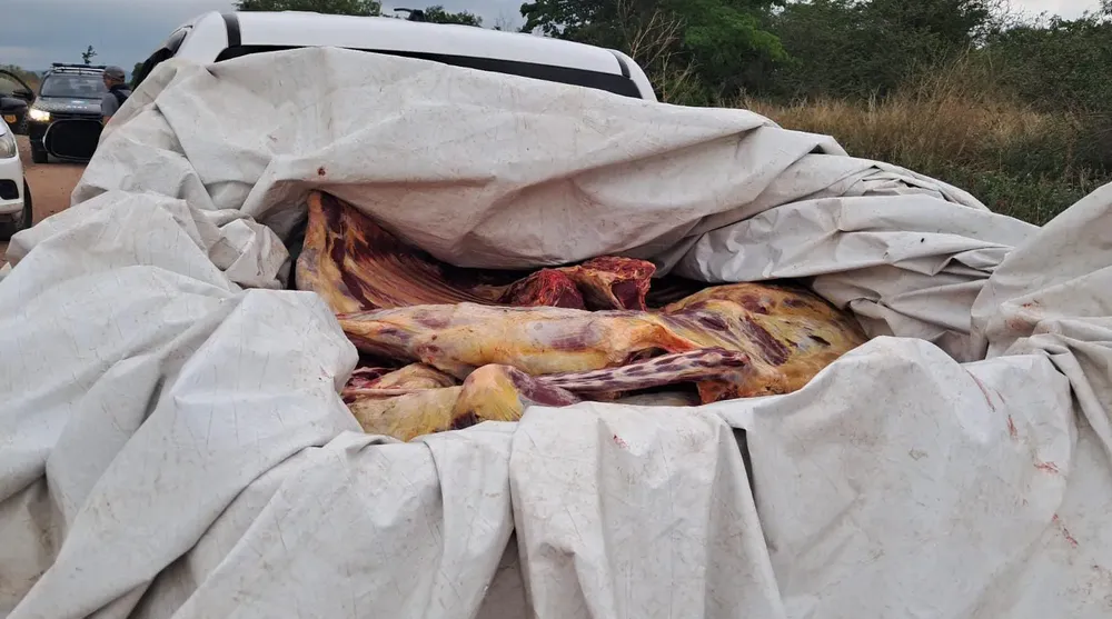 WhatsApp-Image-2025-11-06-at-21.35.40-2