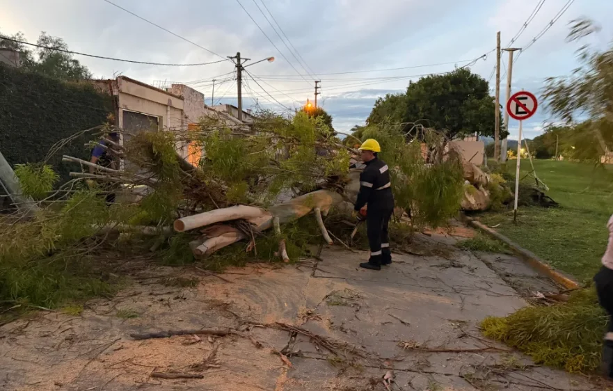 Captura de pantalla 2026-02-24 110638