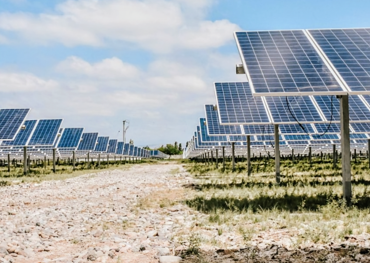 wp-17363485828486245139384640288328