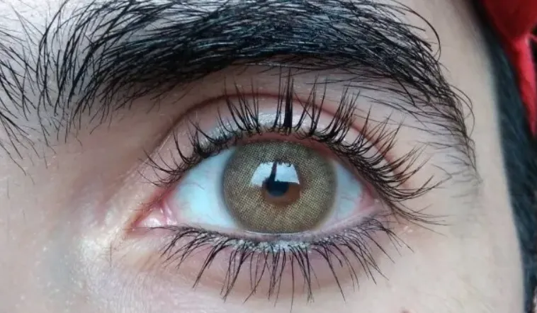 Captura de pantalla 2025-06-04 105603