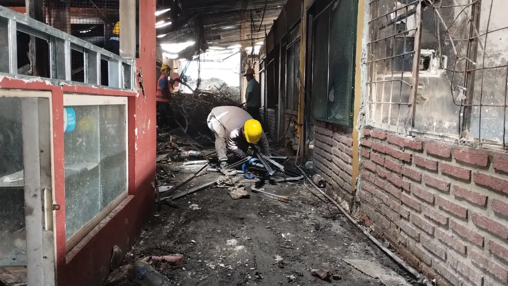 IMG_20241111_095802773