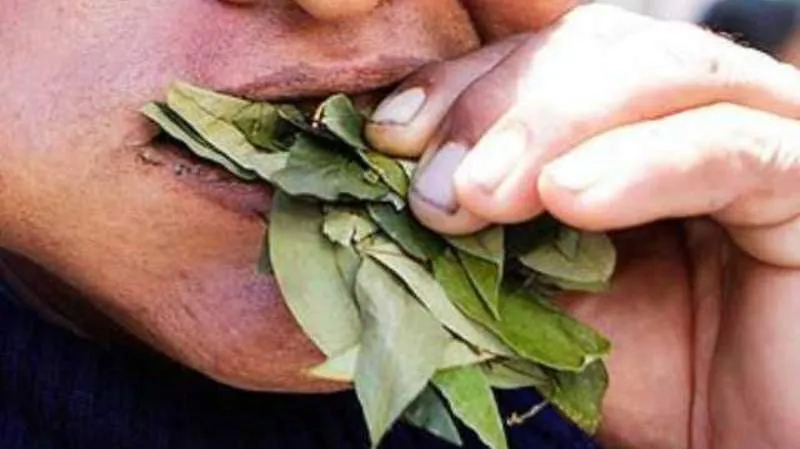 multimedia.normal.8011c679b946b419.636f71756561725f6e6f726d616c2e6a7067