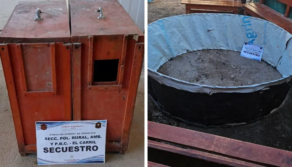 Captura de pantalla 2025-07-01 110131