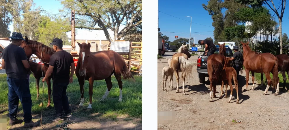 Captura de pantalla 2026-04-03 102323