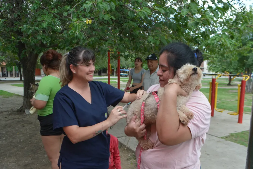 vacunacion-antirrabica-100