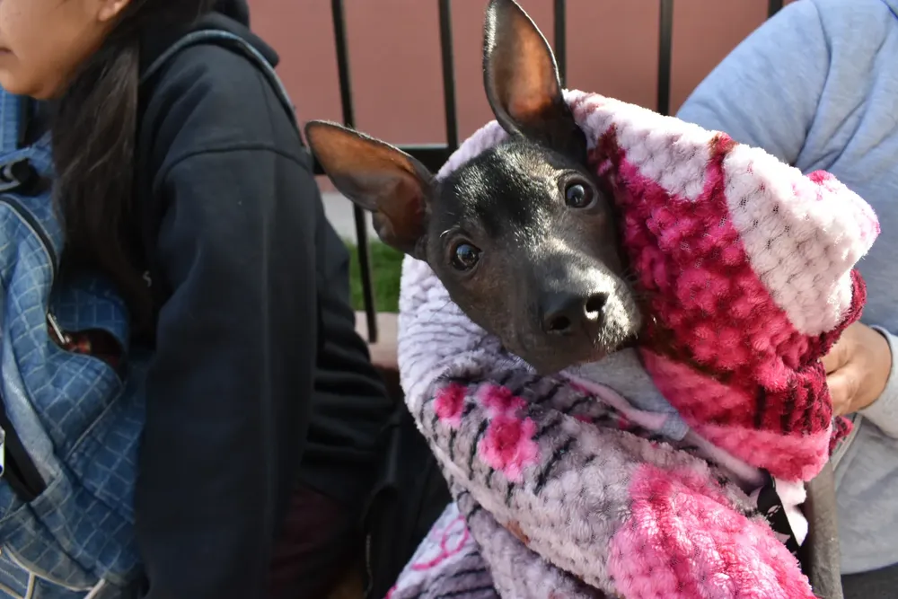 vacunacion-solidaridad-c