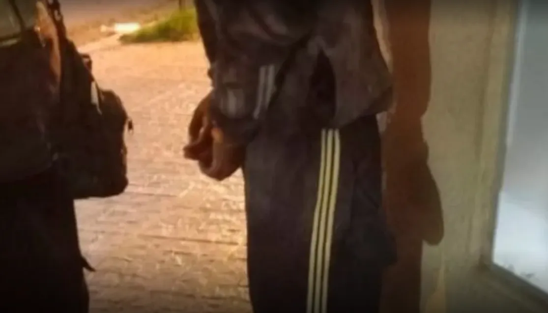 Captura de pantalla 2025-11-27 122022