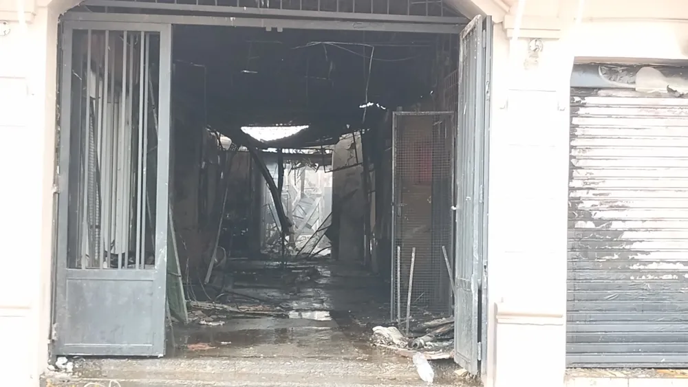 IMG_20241106_082658834