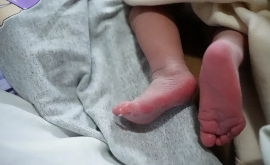 Captura de pantalla 2026-01-01 101844