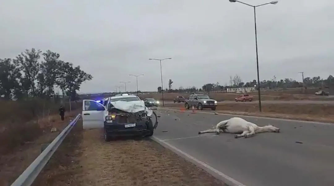 WhatsApp Image 2025-07-02 at 12.29.36 PM