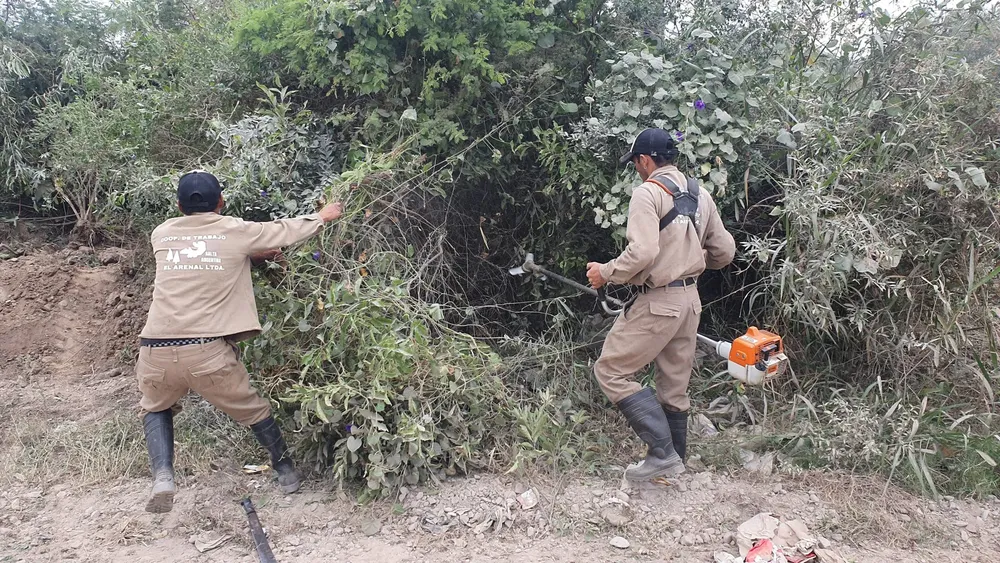 limpieza-baldio-el-circulo-g-2048x1152