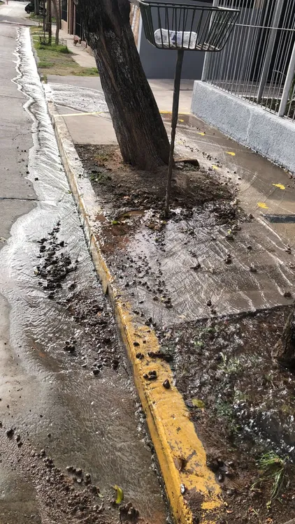 Pérdida de agua en Tres Cerritos (2)