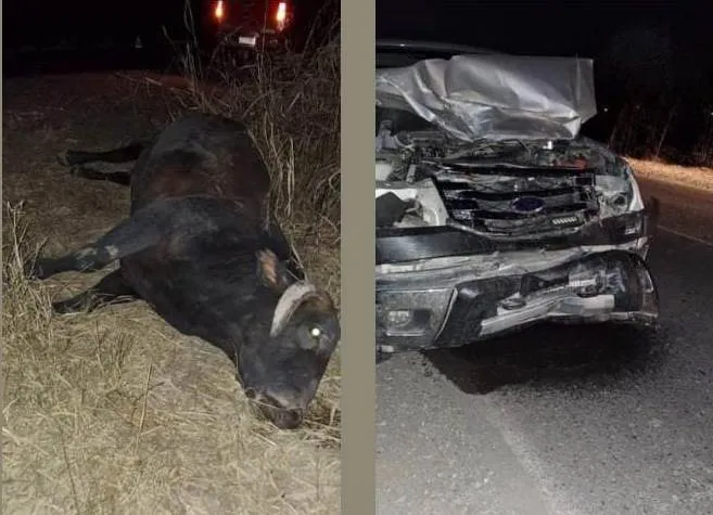 siniestro camino colon