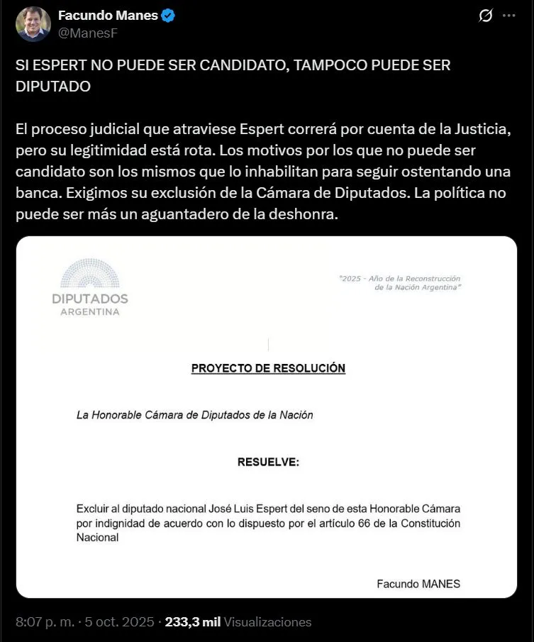 reacciones-a-la-renuncia-de-espert-a-su-candidatura-20251005-2112783