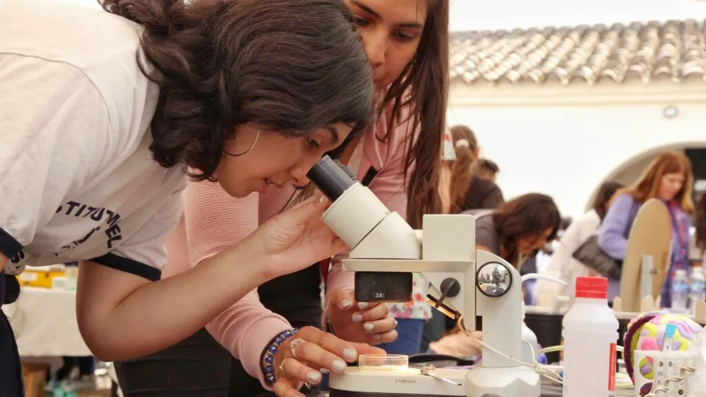 unsa 2024-06-19-at-17.17.03-1024x56