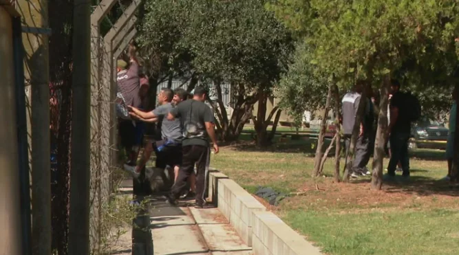 Captura de pantalla 2026-02-18 111308