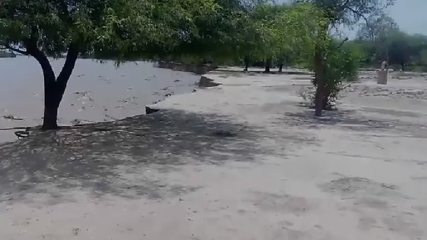 Captura de pantalla 2025-01-10 173326