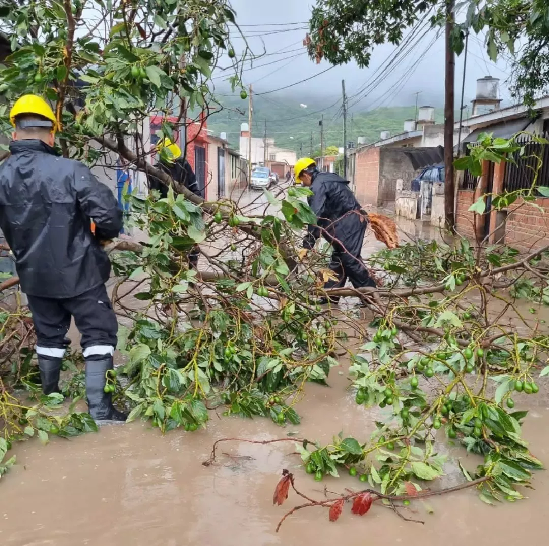 327797144-602636825036326-8394922454403373803-n