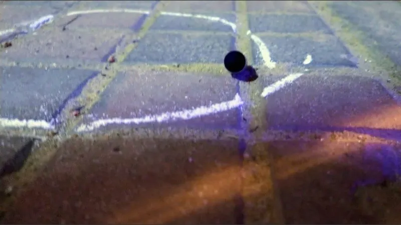 bala_crimen_biedma.jpg_1756841869