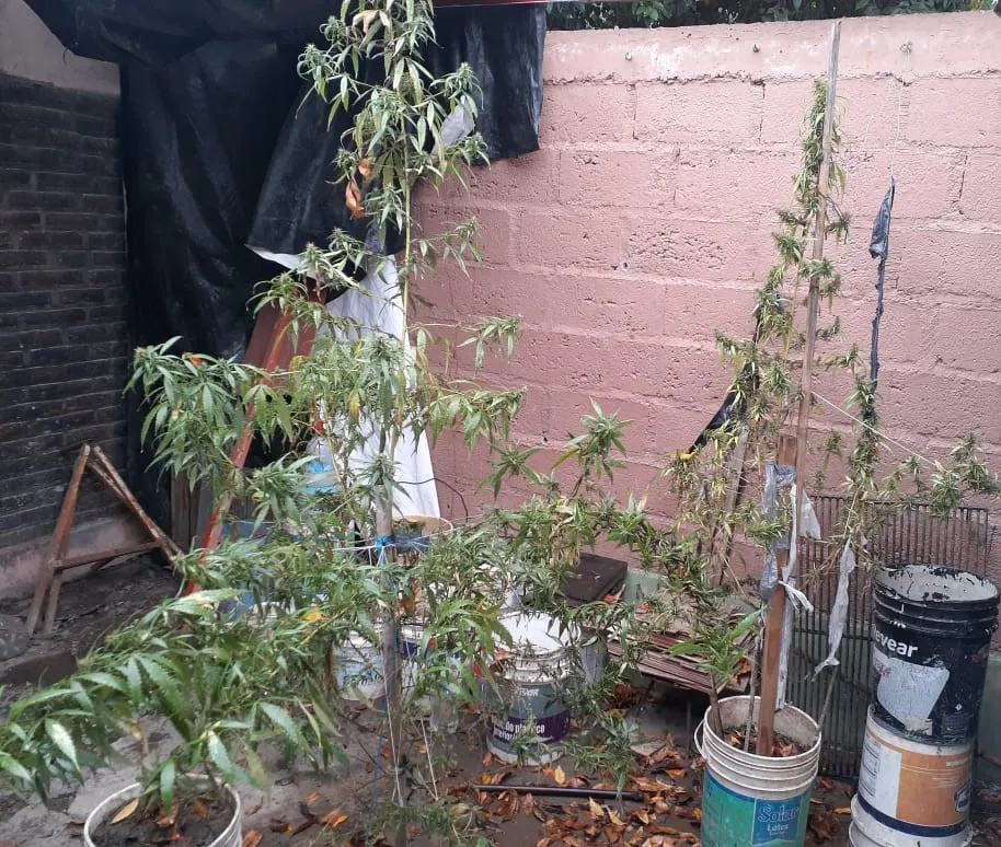 Imagen-de-WhatsApp-2024-05-14-a-las-09.30.55_fe1ad586