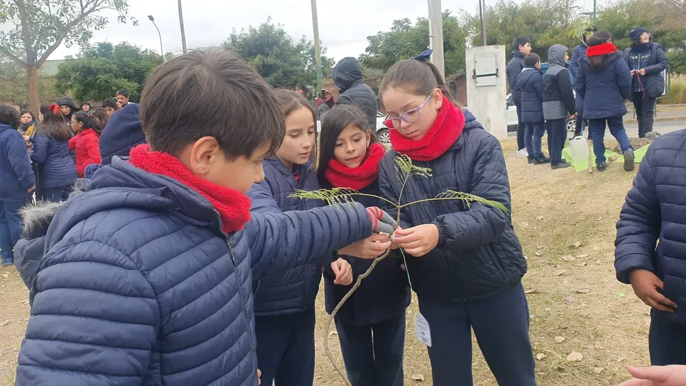 plantacion-plaza-espana-5