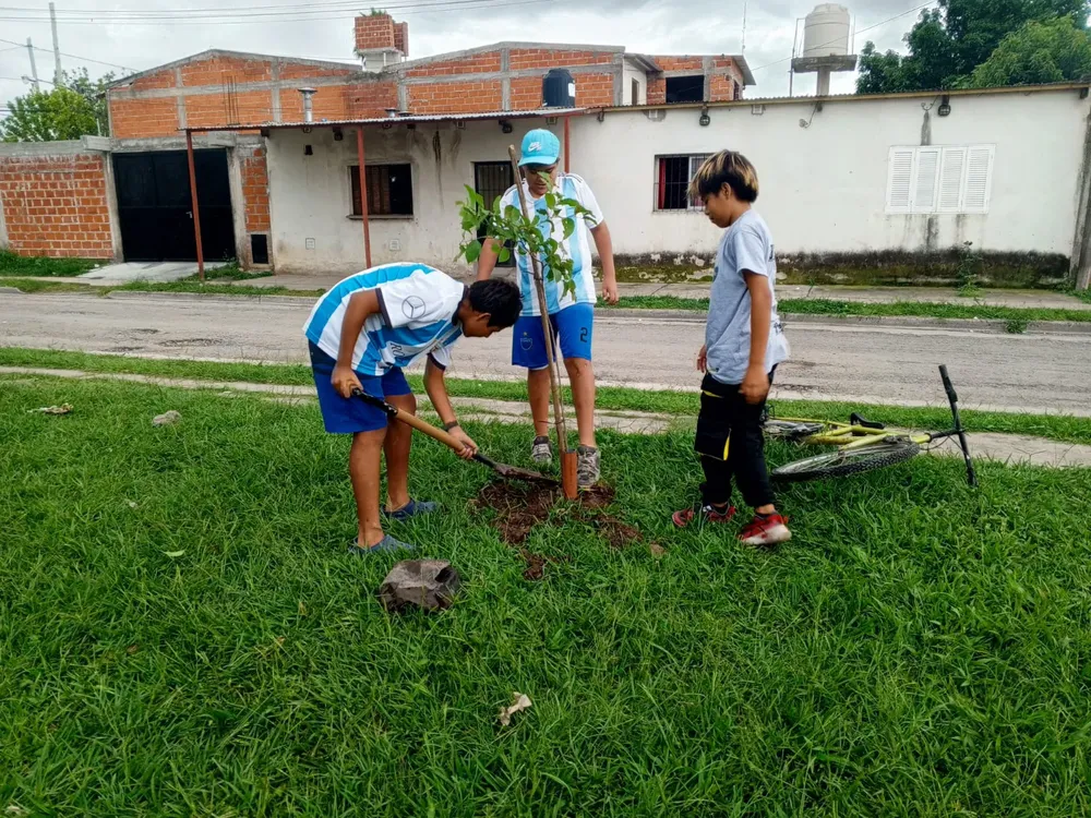 plantacion-puerto-argentino-6