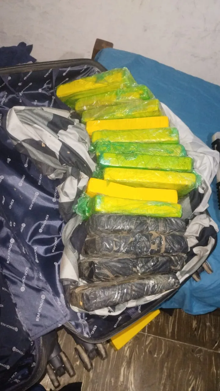 Banda narco Orán - Mendoza - carga de drogas