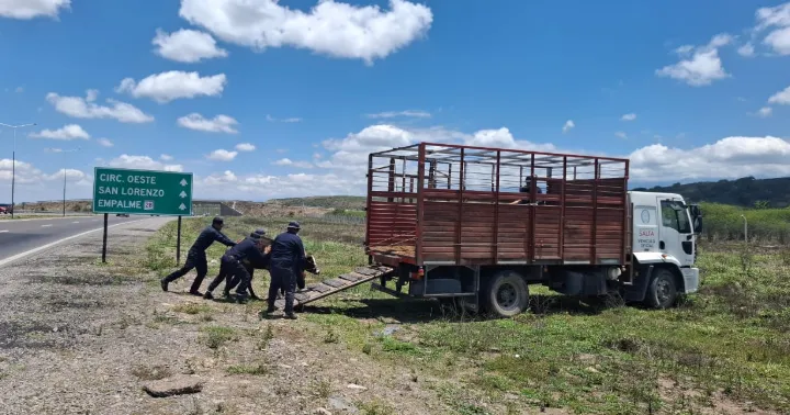 Captura de pantalla 2025-11-04 114405