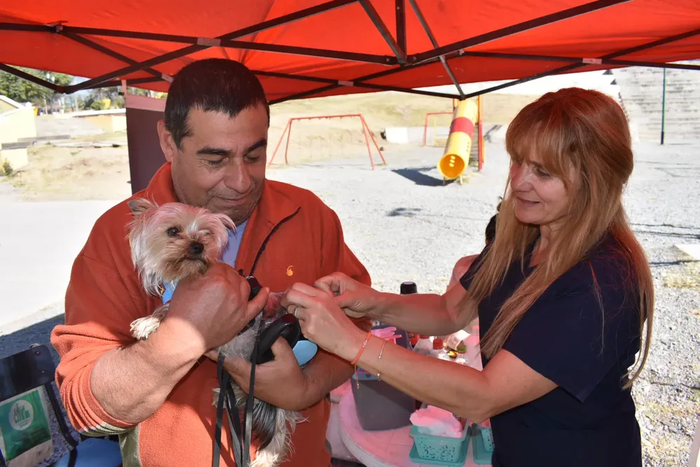 vacunacion-antirrabica-plaza-espana-7