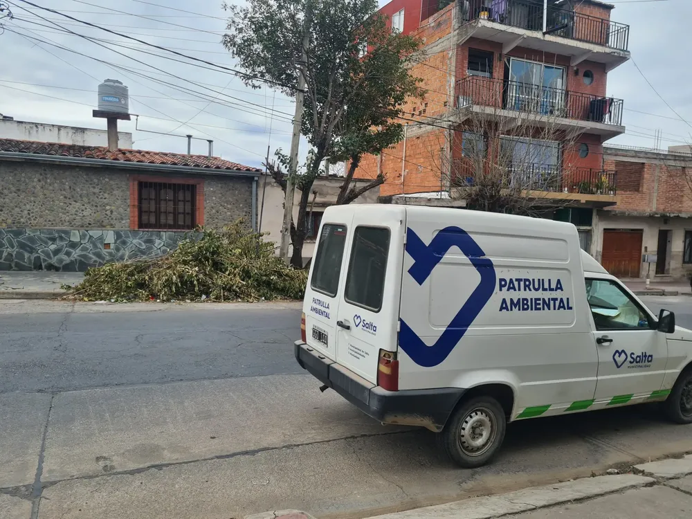 podas-ilegales-1-2048x1536