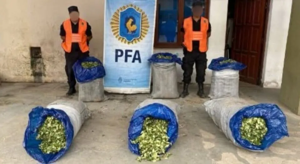 multimedia.normal.acf9a64a0487f7e1.bm9ybWFsLndlYnA=