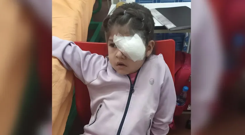 Captura de pantalla 2026-01-13 132844