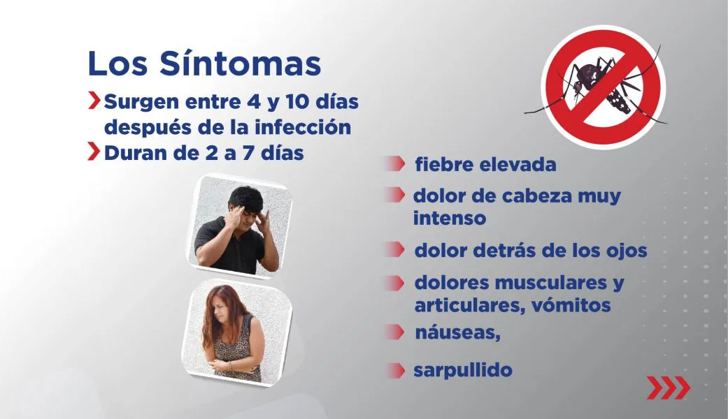 11502-dengue-ante-los-signos-de-alarma-concurrir-al-sistema-sanitario