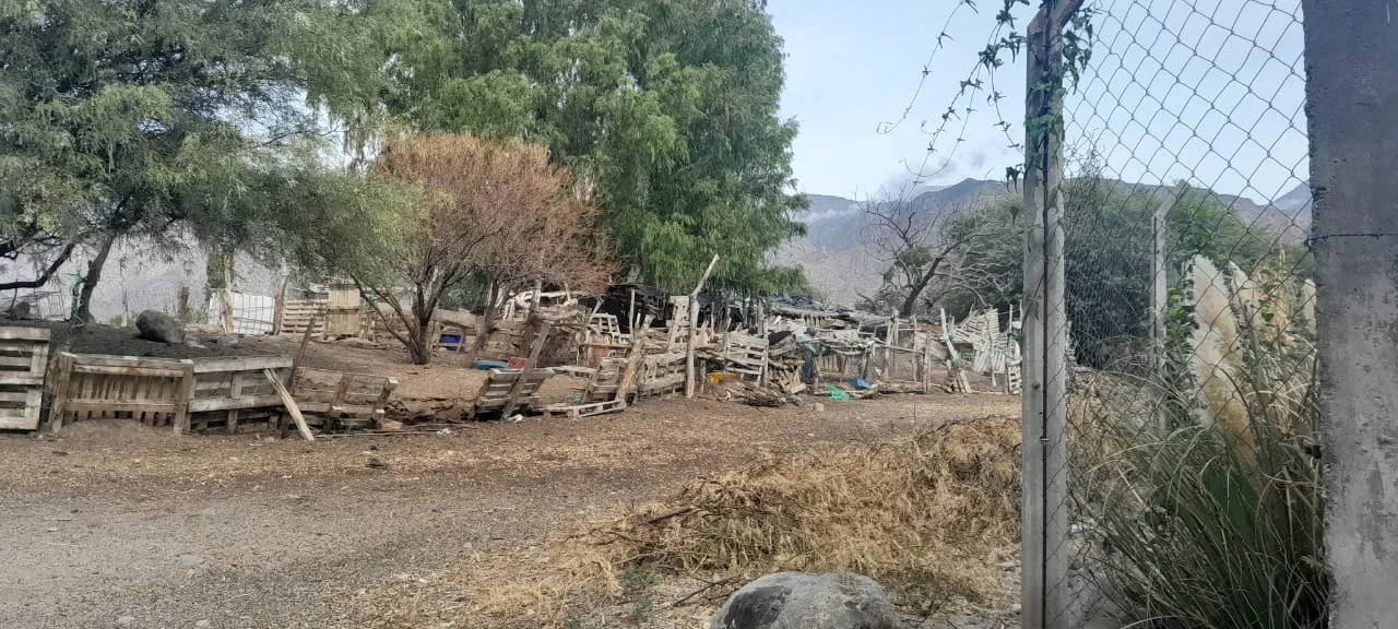 WhatsApp Image 2025-09-17 at 11.45.38