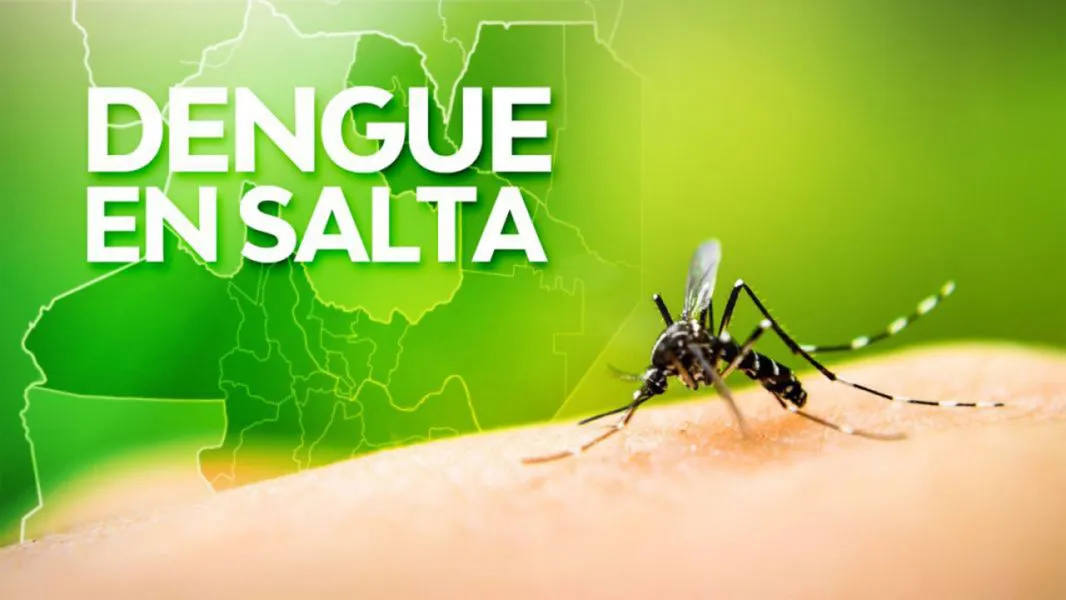 94586-los-casos-de-dengue-se-incrementaron-casi-al-doble-en-la-ultima-semana