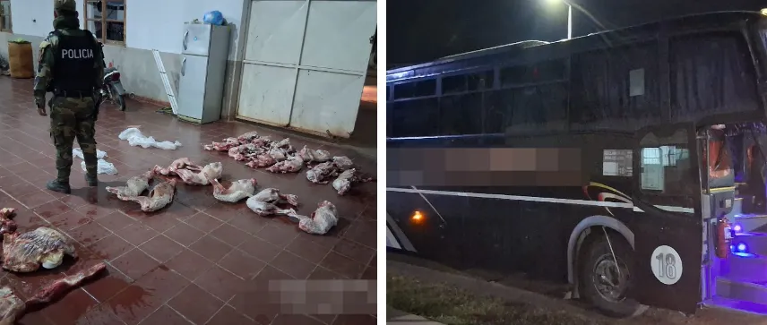 Captura de pantalla 2025-08-07 113508