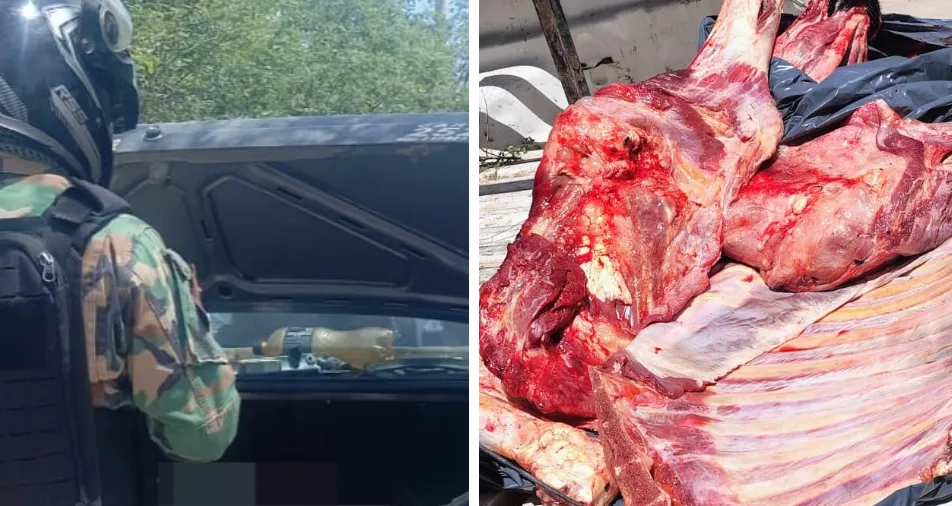 Captura de pantalla 2025-11-12 120120