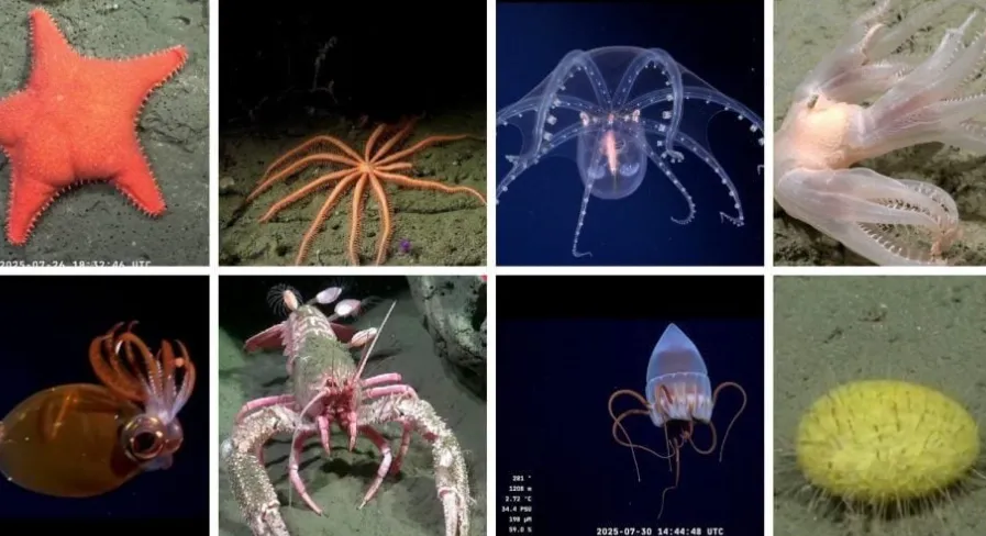 Captura de pantalla 2025-08-11 100547