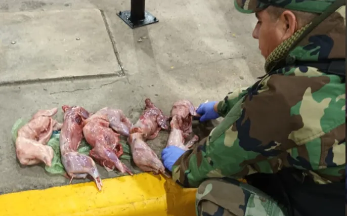 Captura de pantalla 2025-04-24 130049