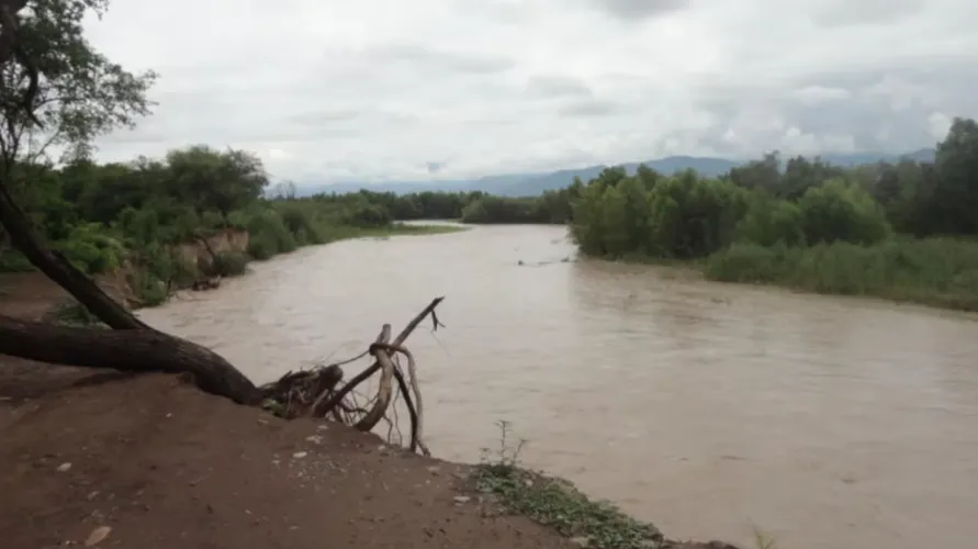 Captura de pantalla 2025-12-16 104335